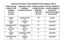 Adapted Redox Ladder