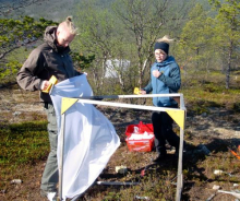 Covering an enclosure