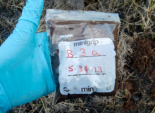 Soil Sample