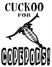 Cuckoo for Copepods