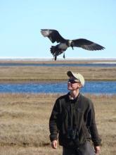 David Pavlik doing field work in Barrow - image courtesy of David Pavlik