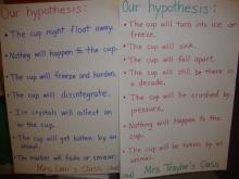 Hypotheses for Polystyrene Cup Experiment