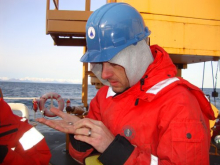 Joel identifying a larval rockfish from the sample.