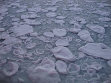 Sea ice "pancakes" being frozen together