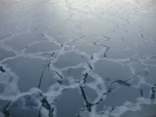 Thin sea ice as the water 