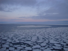 Sea ice pancakes with patches of open water