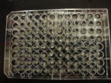 Tray for drying samples