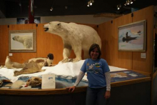 Polar Bear Exhibit