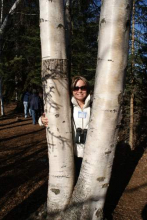 Chantelle in the Paper Birch