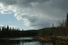 Alaskan Landscape