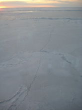 The Healy crossed the polar bear tracks on the ice!