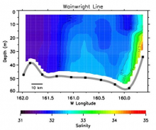 Graph of Wainwright Line - Salinity