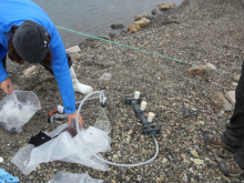 Cara Mangabosco collecting preliminary samples.