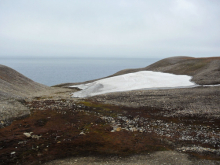 A glacier above one of the Karst ponds and the ocean in the distance.