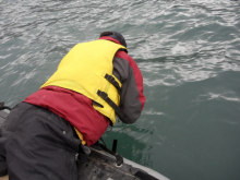 Jeremy hanging over the side of the boat putting in new samples.