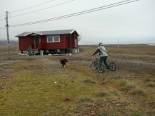 Cheryl is pulled by a sled dog.