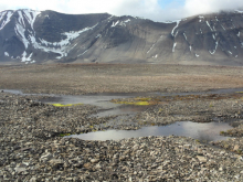 A spring south of Lake Linne.