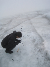 Terra looking at particles on the glacier.