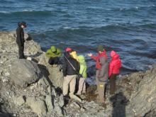 Field trip on the cliffs at Kapp Linne.