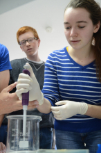 Anna micropipetting at INACH