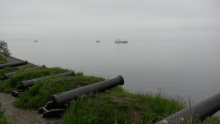 Cannons on the coast