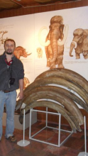 Florin and Woolly Mammoth Tusks