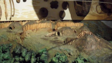 Pit House Diorama