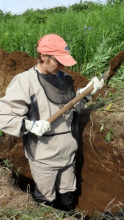 Waist high in soil