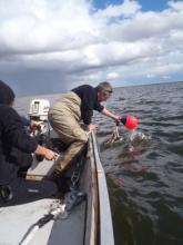 John Lenters retrieves the buoy off Freshwater Lake.