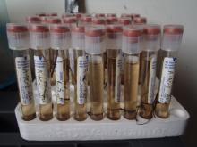 How much methane and carbon dioxide do you think is in each vial?