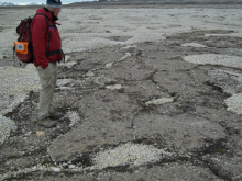 Mike On Finer Patterned Ground