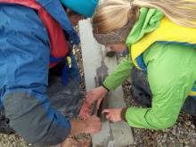 Dion and Helena splitting the core