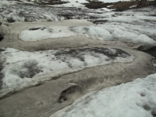 Meandering meltwater channels carved into the ice surface