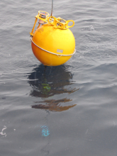 Buoy Lifted 