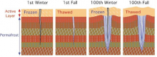 Ice Wedge Formation