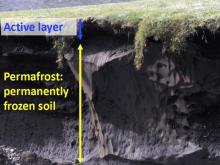 Permafrost Cross-Section