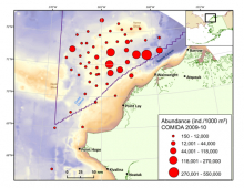 COMIDA Map of Abundance