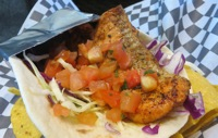 Salmon Taco