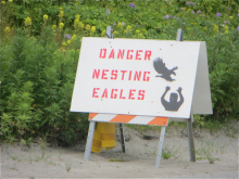 Eagle nesting sign in Unalaska 