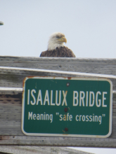 Walking bridge in Unalaska 