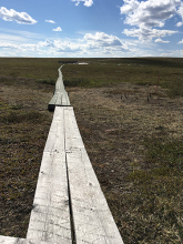 Boardwalk