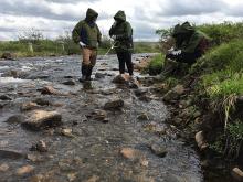 Collecting the Hypo water