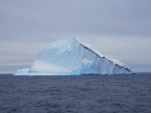 Iceberg