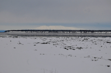 Cook Inlet AK