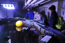 Behind the scenes at the Sea Life Aquarium