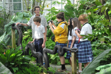 FIU Garden with Dr Oberbauer