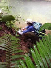 Dr. Steve Oberbauer of FIU measuring the air above the water