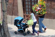 Flowers & Stroller