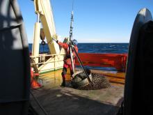 Marine tech Ross Hein, with a geologic dredge.