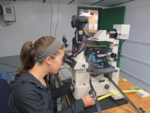 Kara Vadman observing diatoms on the microscope.